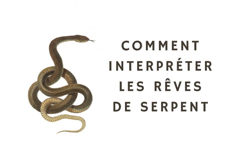 reves de serpent