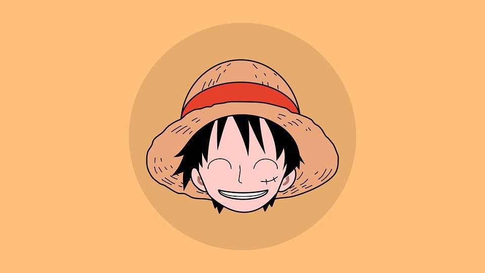 personnage luffy