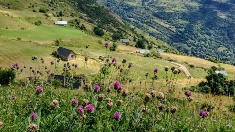 Et si vous passiez vos prochaines vacances d'été en famille dans les Hautes-Pyrénées ?